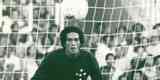 Hlio (goleiro) - Atltico (1966-1970); Cruzeiro (1971-1978); Amrica (1979-1982)
