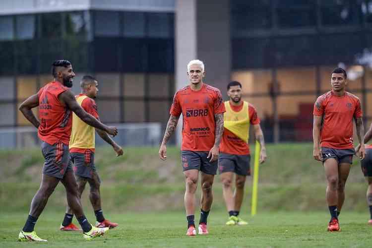 (Foto: Marcelo Cortes / Flamengo)