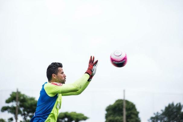 A manh de domingo foi de trabalho intenso na Toca da Raposa II