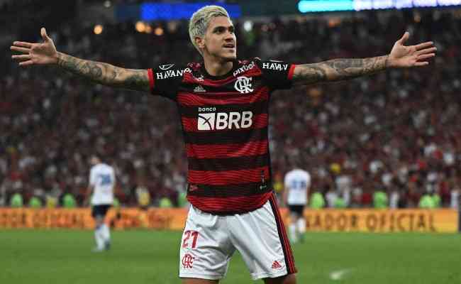 Vidente diz que Flamengo ser campeo e Seleo no vencer a Copa