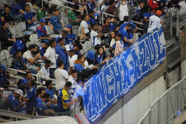 Fotos da torcida do Cruzeiro na partida de volta das oitavas de final da Copa do Brasil, contra o Fluminense, no Mineiro (Juarez Rodrigues/EM/DAPress)
