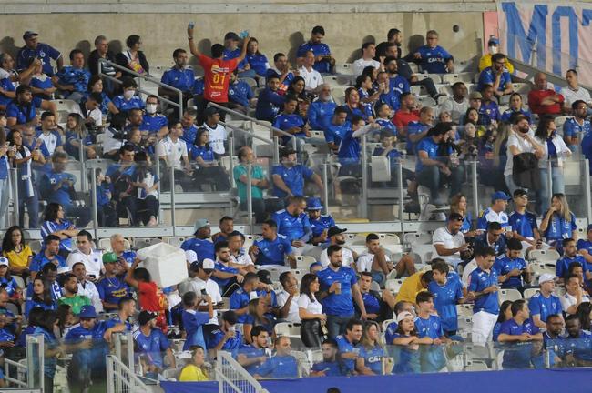 Torcida do Cruzeiro deu show mais uma vez e lotou o Mineiro na partida contra o CRB pela 11 rodada da Srie B
