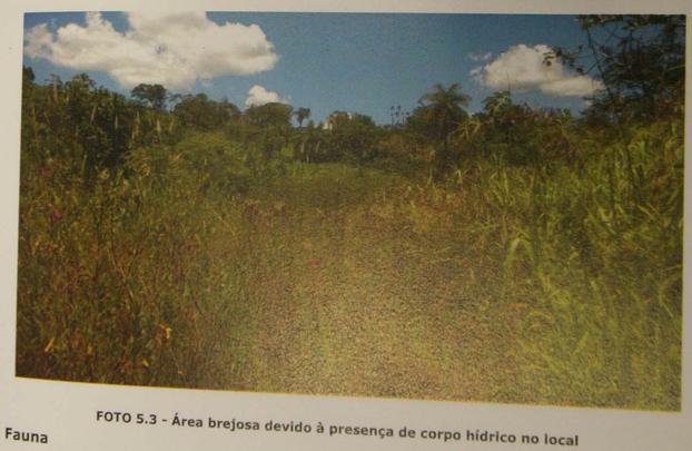 Imagens do projeto da Arena MRV, o estádio do Atlético, apresentadas à PBH e ao estado