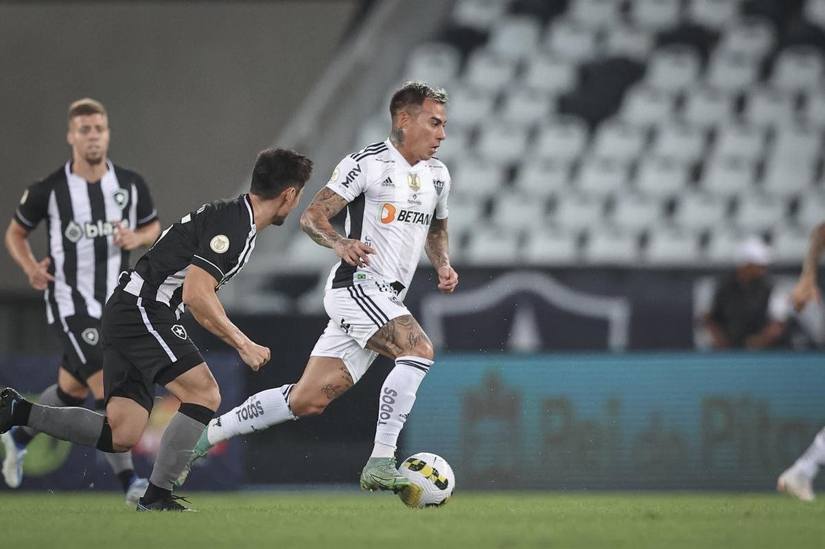 Botafogo x Atltico: veja fotos do jogo no Nilton Santos