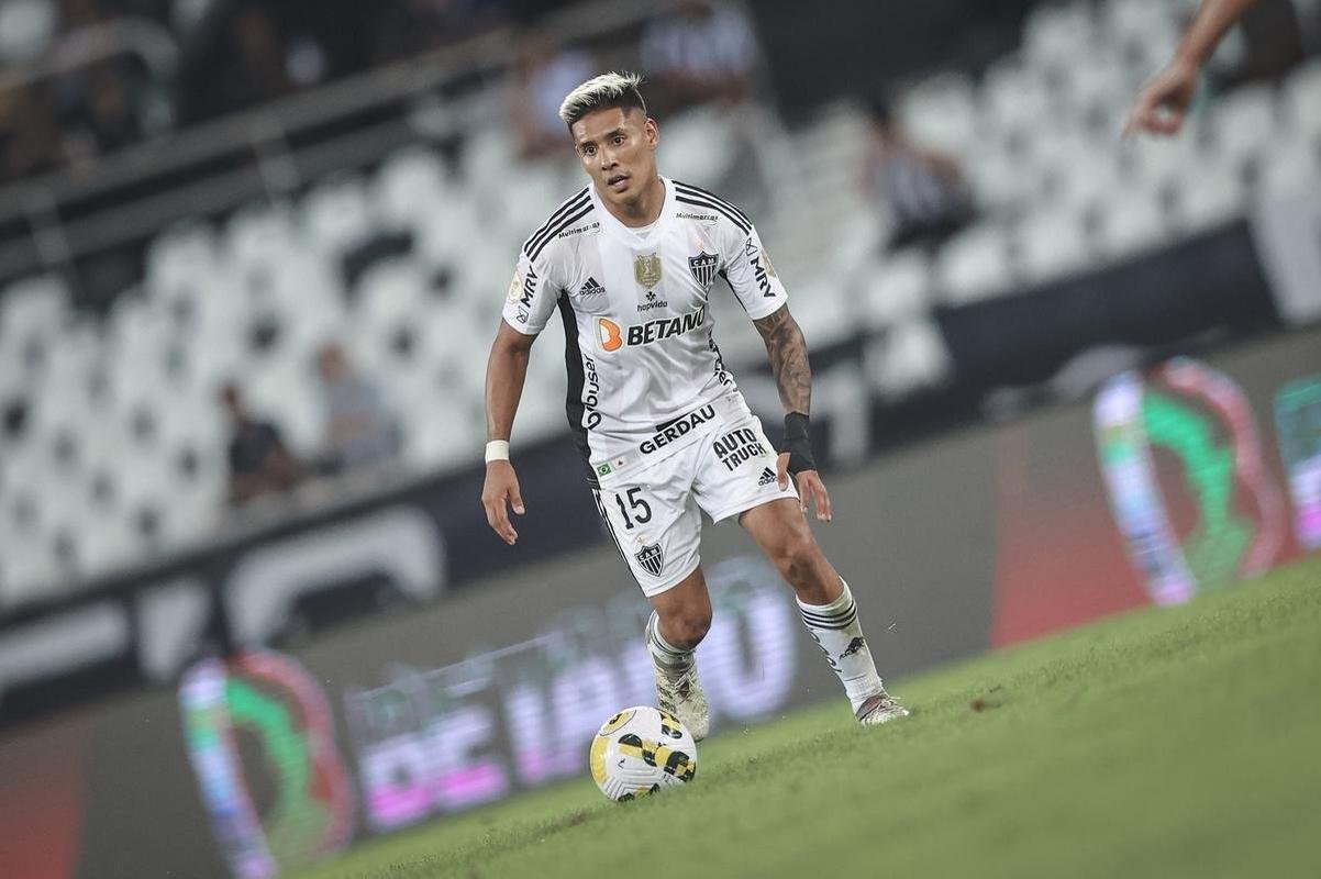 Botafogo x Atltico: veja fotos do jogo no Nilton Santos