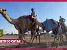 Corrida de camelos guiados por robs movimenta milhes de dlares no Catar
