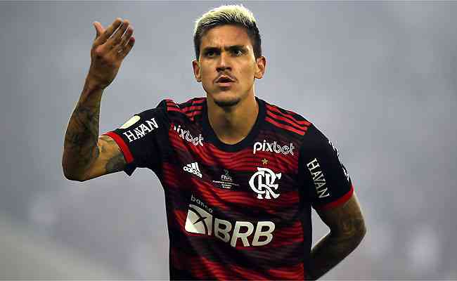 Pedro festeja o gol que abriu caminho para o ttulo do Flamengo: foco na Copa