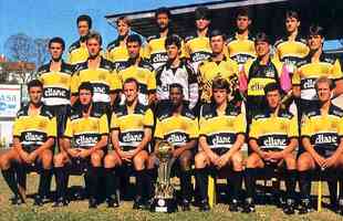Na Copa do Brasil de 1991, o Cricima surpreendeu ao conquistar o ttulo sob o comando do tcnico Luiz Felipe Scolari. Ao longo da competio, o time passou por Ubiratan-MS (primeira fase), Atltico (oitavas), Gois (quartas) e Remo (semifinal). Na deciso, superou o Grmio graas ao gol qualificado como visitante - empatou por 1 a 1, em Porto Alegre, e 0 a 0, em Santa Catarina. Na Srie B, o Tigre ficou em quinto lugar no Grupo 8 e encerrou na 35 colocao geral entre 64 participantes.