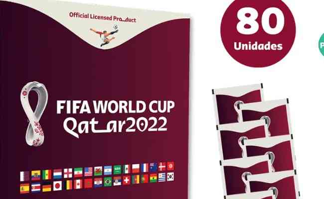 Álbum Completo Copa Do Mundo 2022 Qatar 670 Figurinhas - Panini - Álbum de  Figurinhas - Magazine Luiza