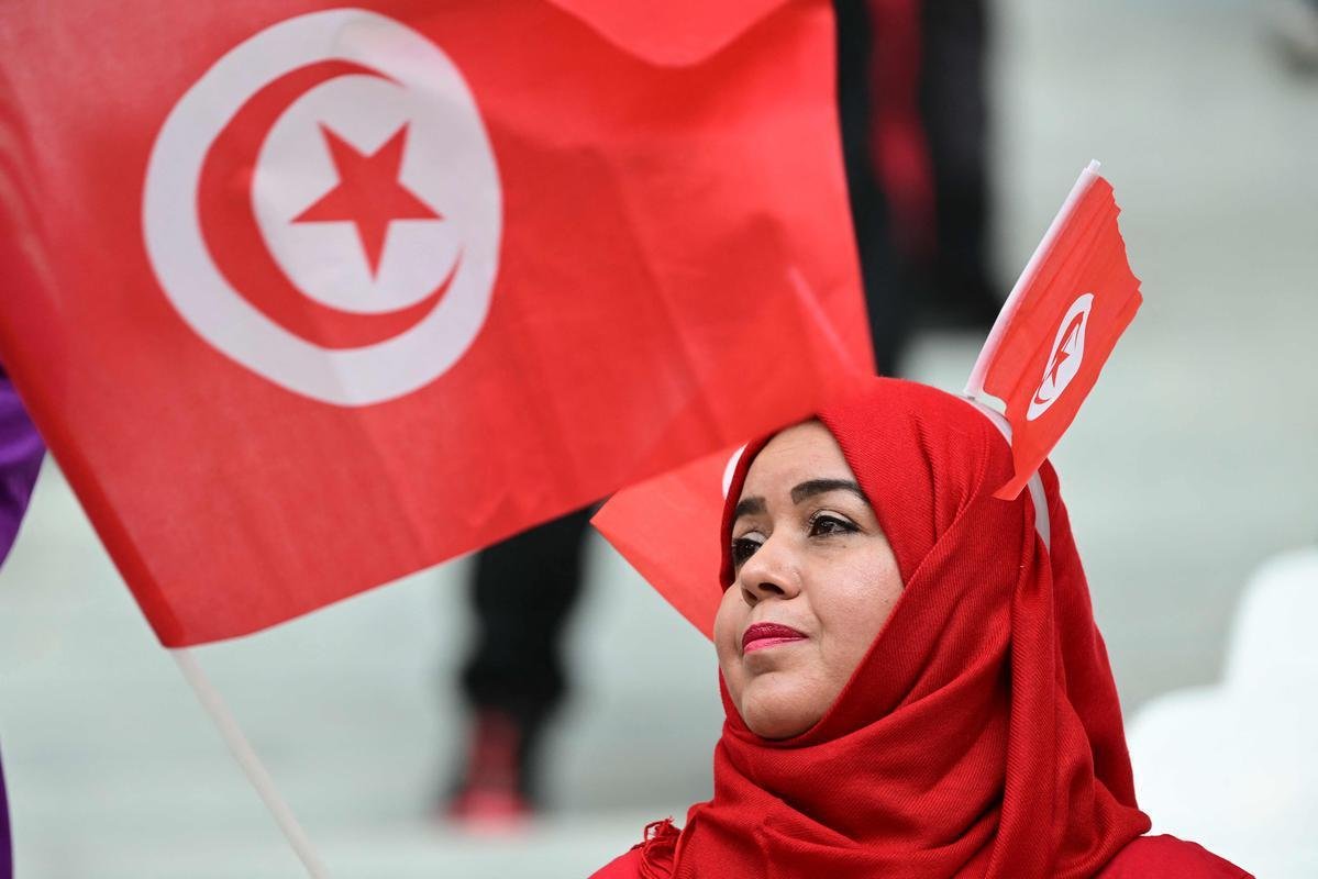 Imagens dos torcedores no jogo entre Dinamarca e Tunsia, pelo Grupo D da Copa do Mundo.