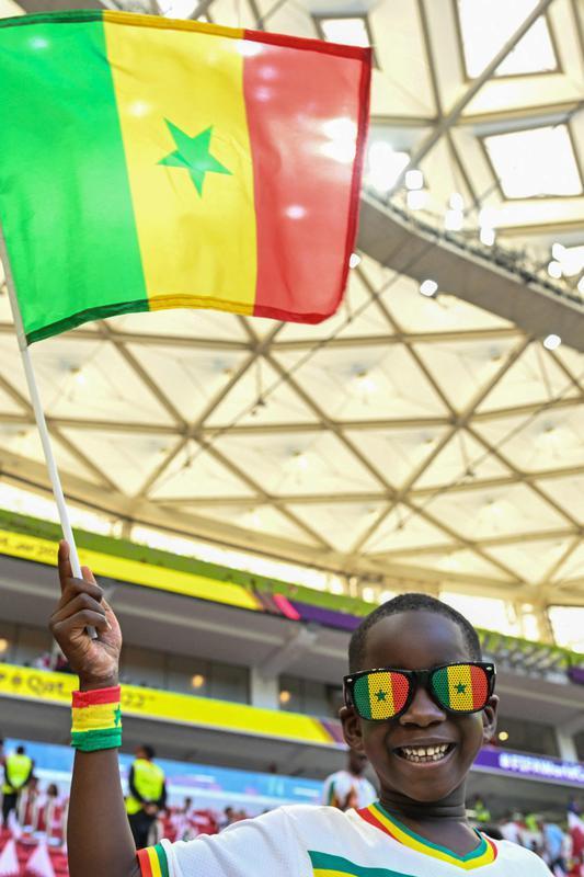 Torcedores de Catar e Senegal nas arquibancadas do Estdio Al Thumama