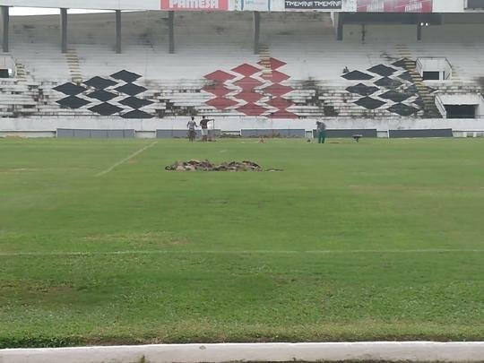 Na manh desta quarta-feira, funcionrios do Santa Cruz fizeram trabalho de recuperao do gramado do Arruda com o intuito de deixar o piso apto a receber o Clssico das Emoes, que ser realizado no prximo dia 23