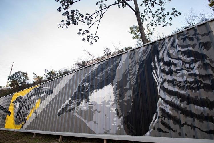 Grafites da Arena MRV ganham cores