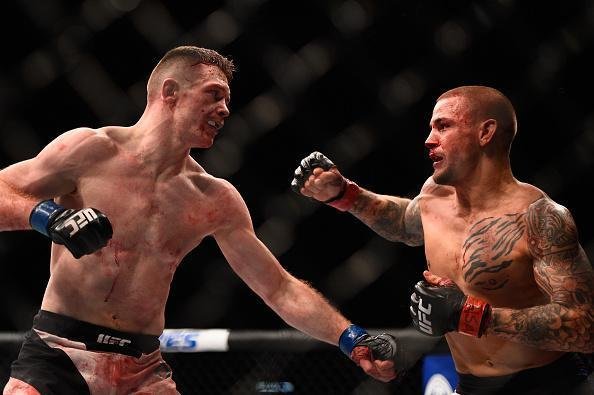 Dustin Poirier venceu Joseph Duffy por decisão unânime