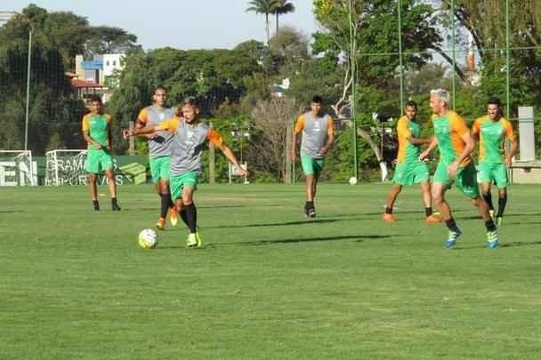 Fotos do treino do Amrica, nesta quarta-feira, no CT Lanna Drumond. Atividade com bola fechou preparao do Coelho para o clssico contra o Cruzeiro, marcado para esta quinta, s 21h, no Independncia, pela 23 rodada do Campeonato Brasileiro