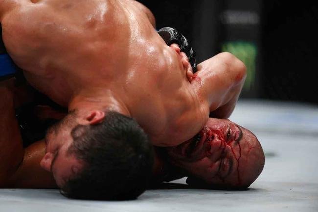 Spider voltou ao UFC com rev�s. Brasileiro chegou a derrubar Bisping, achou que tinha vencido por nocaute, mas acabou perdendo luta por pontos 