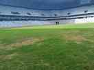 Atltico: gramado da Arena MRV j tem predominncia do verde; veja vdeo
