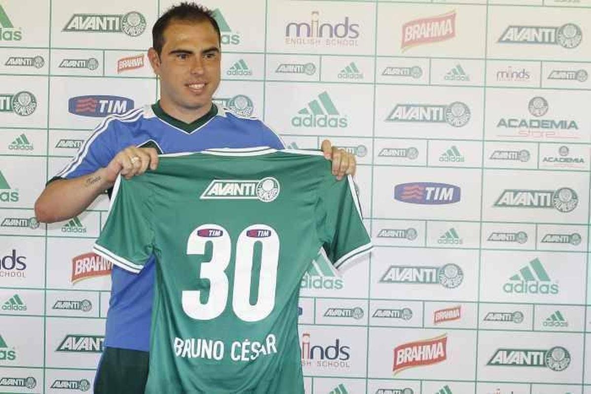 Palmeiras - o Verdo no ganhou nada em 2014, ano do centenrio
