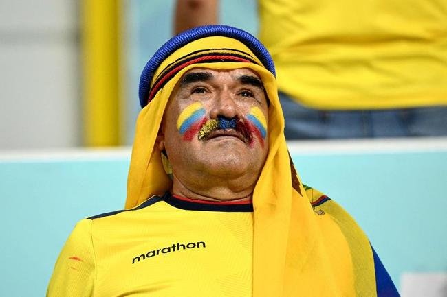 Torcedores de Holanda e Equador no jogo pelo Grupo A da Copa do Mundo.