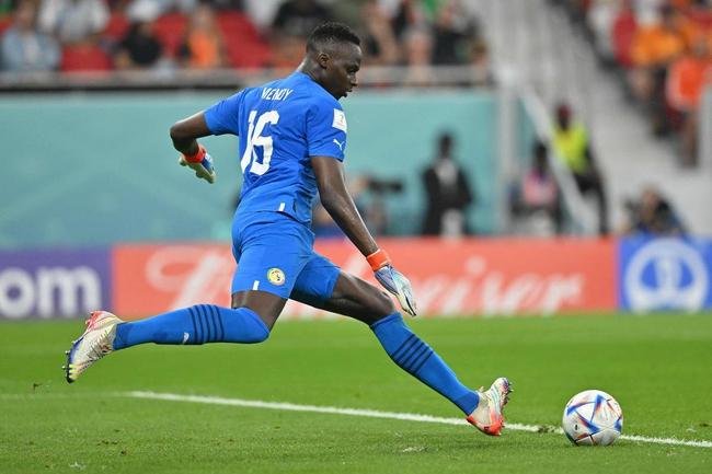 Fotos do jogo entre Senegal e Holanda no Estdio Al Thumama, pelo Grupo A da Copa do Mundo, no Catar