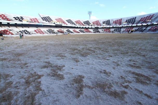 Grama nova foi plantada no último mês, em novembro, e já brotou, mas a aparência, até o momento, é de folhas ainda secas