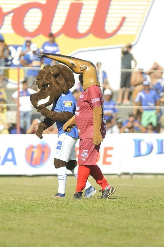 Tamandu, mascote do Guarani, e Raposo, mascote do Cruzeiro, no estdio Fario