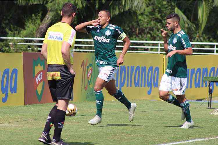 Palmeiras/Divulgao