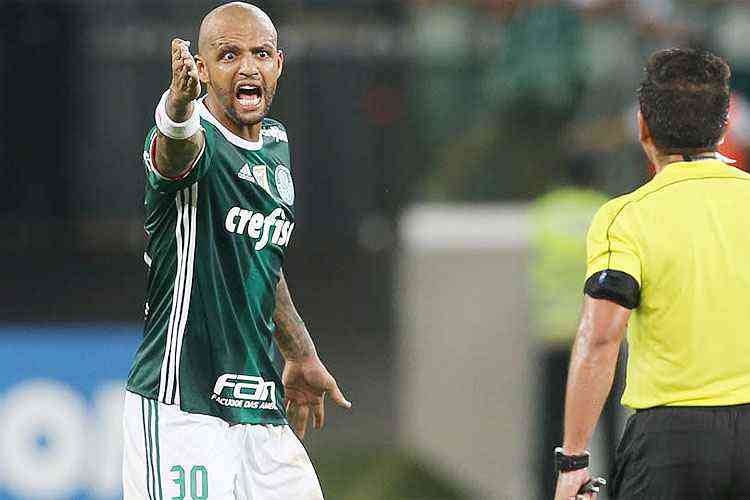  Cesar Greco / Ag. Palmeiras/Divulgao