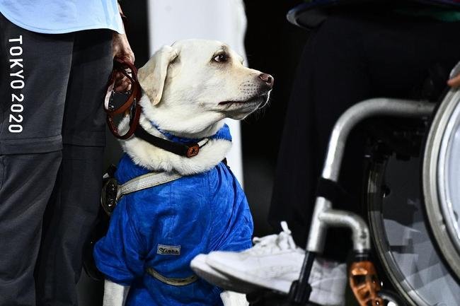 Jogos Paralmpicos de Tquio chegam ao fim depois de 13 dias de muita emoo; prxima parada ser em Paris, na Frana, em 2024 