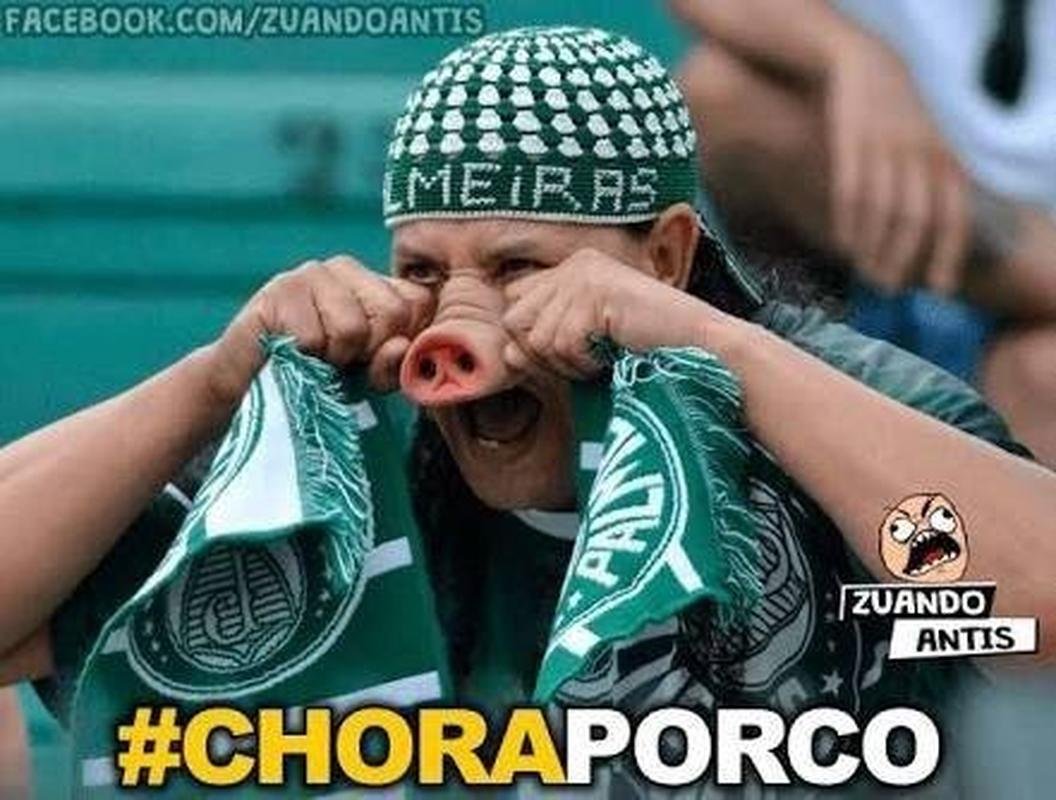 Diversos memes tomaram conta das redes sociais aps a eliminao do Palmeiras na Libertadores