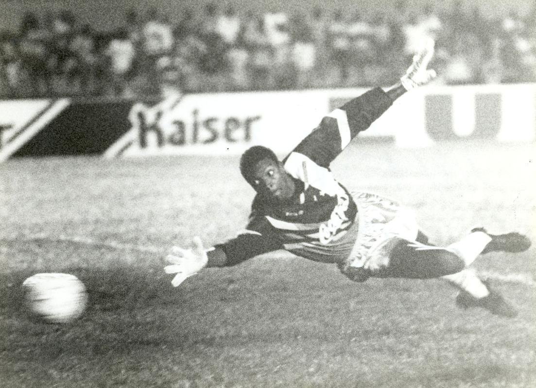 Dida  um dos goleiros inesquecveis do Cruzeiro e foi fundamental em conquistas da Copa do Brasil de 1996 e da Copa Libertadores de 1997 com defesas espetaculares. Ao todo, fez 306 partidas com a camisa azul e ainda venceu os Mineiros de 1994, 1996, 1997, 1998, a Copa Ouro e a Copa Master, ambos em 1995. 

