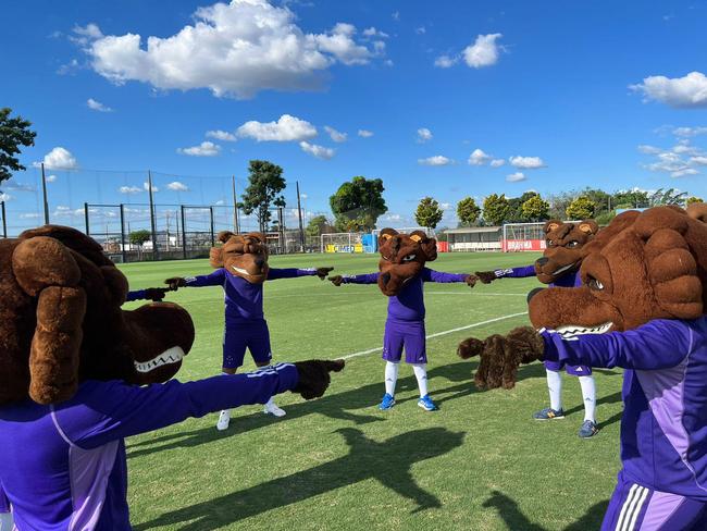 'Raposoverso': outras verses do personagem saudaram a chegada da nova mascote