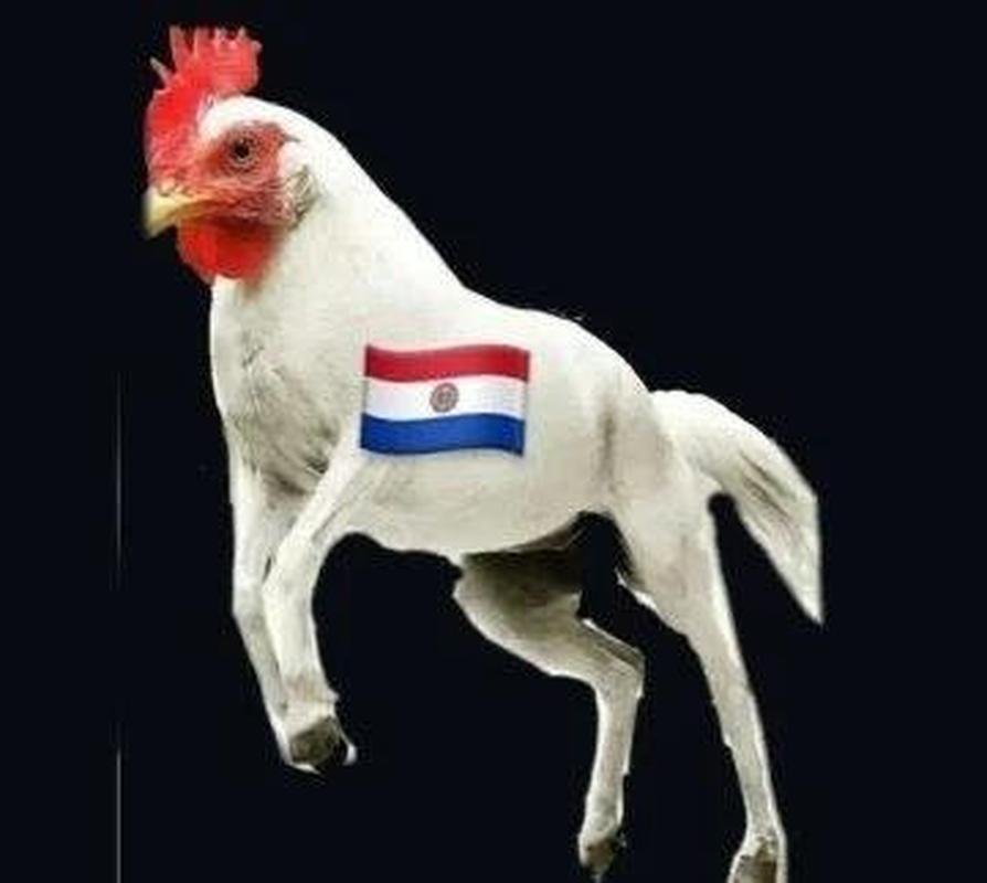 A internet no perdoou a eliminao do Atltico para o Palmeiras nas quartas de final da Libertadores