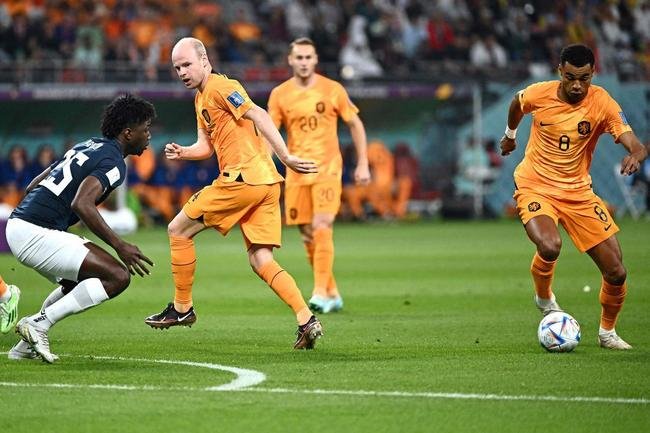 Imagens da partida entre Holanda e Equador, pelo Grupo A da Copa do Mundo de 2022.