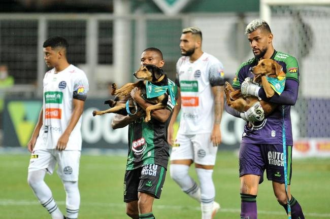Fotos de Amrica x Athletic, no Independncia, pelo Campeonato Mineiro