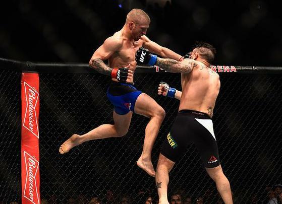TJ Dillashaw (luvas vermelhas) venceu John Lineker por deciso unnime (triplo 30-26)