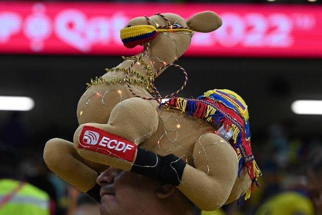 Torcedores do Equador no jogo de abertura da Copa do Mundo
