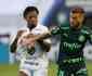 Após decisões, Palmeiras e Santos renovam rivalidade na Libertadores