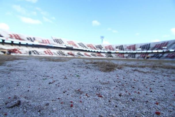 Grama nova foi plantada no último mês, em novembro, e já brotou, mas a aparência, até o momento, é de folhas ainda secas