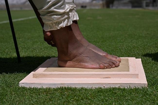 Formiga  eternizada como primeira mulher na Calada da Fama do Mineiro