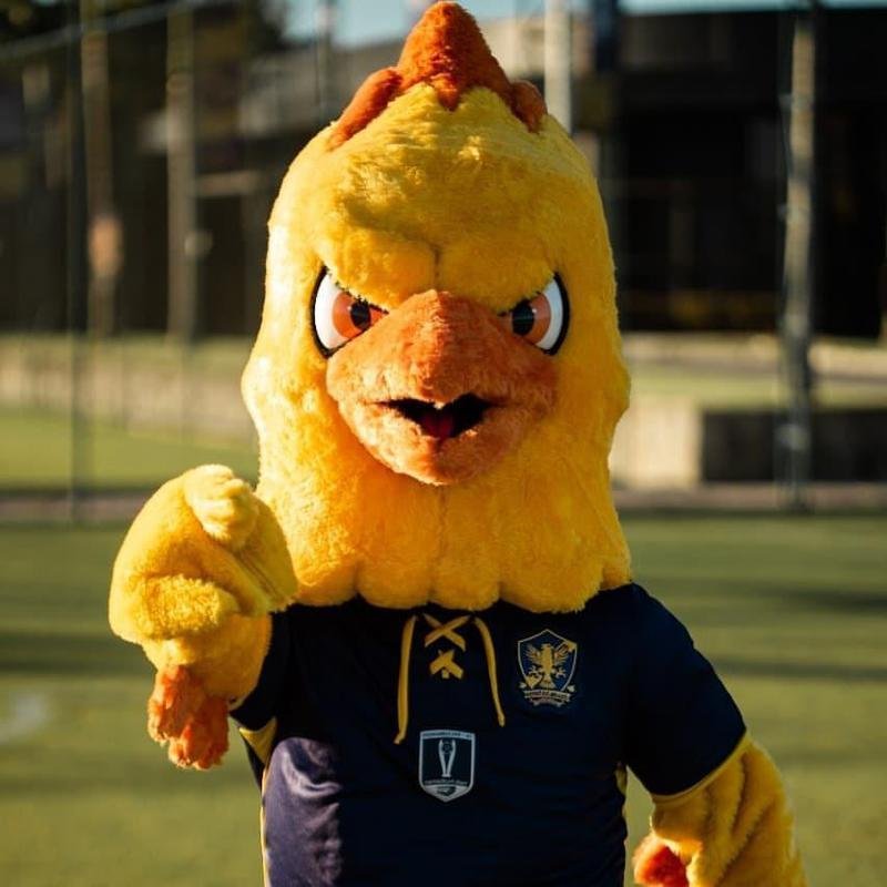 Comentário mais curtido na publicação do clube irá determinar o nome da ave, que agora é presença confirmada nos jogos do Retrô como mandante