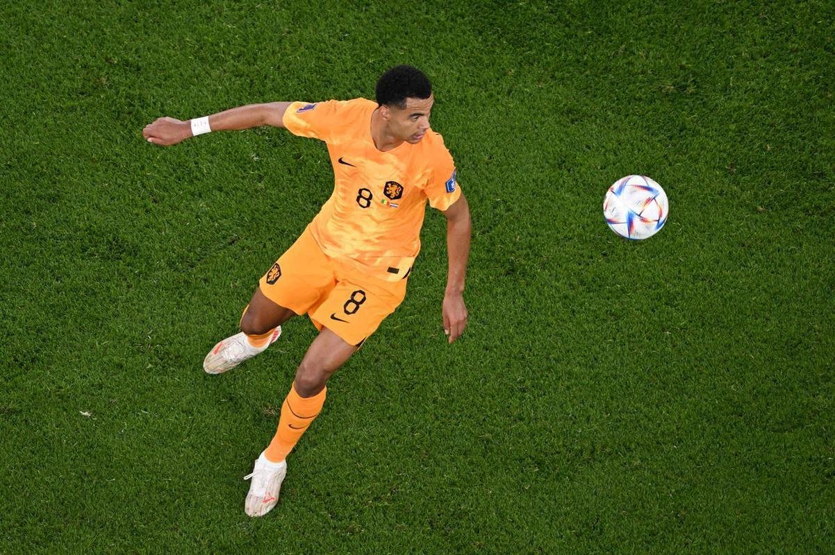 Primeiro gol da Holanda foi marcado por Cody Gakpo 