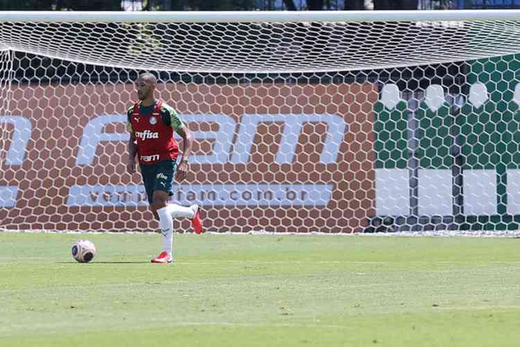 (Foto: Cesar Greco/Palmeiras)