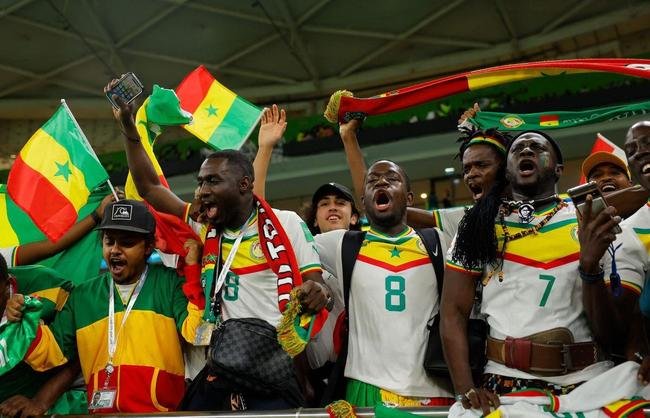 Fotos dos torcedores de Senegal e Holanda durante jogo pelo Grupo A da Copa do Mundo.