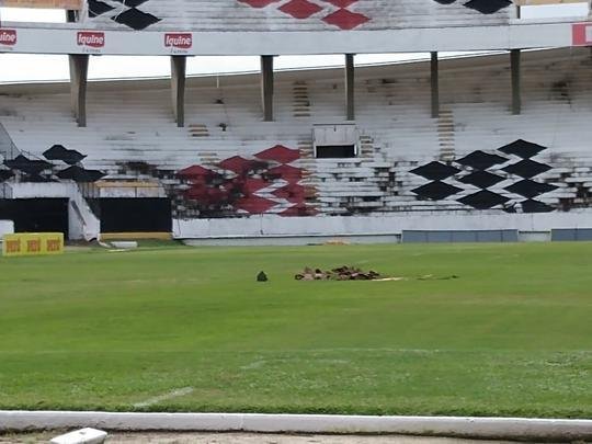 Na manh desta quarta-feira, funcionrios do Santa Cruz fizeram trabalho de recuperao do gramado do Arruda com o intuito de deixar o piso apto a receber o Clssico das Emoes, que ser realizado no prximo dia 23