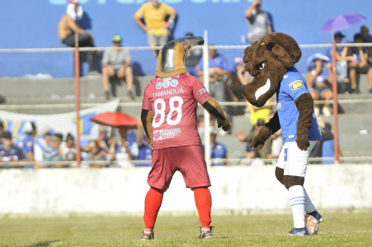 Tamandu, mascote do Guarani, e Raposo, mascote do Cruzeiro, no estdio Fario