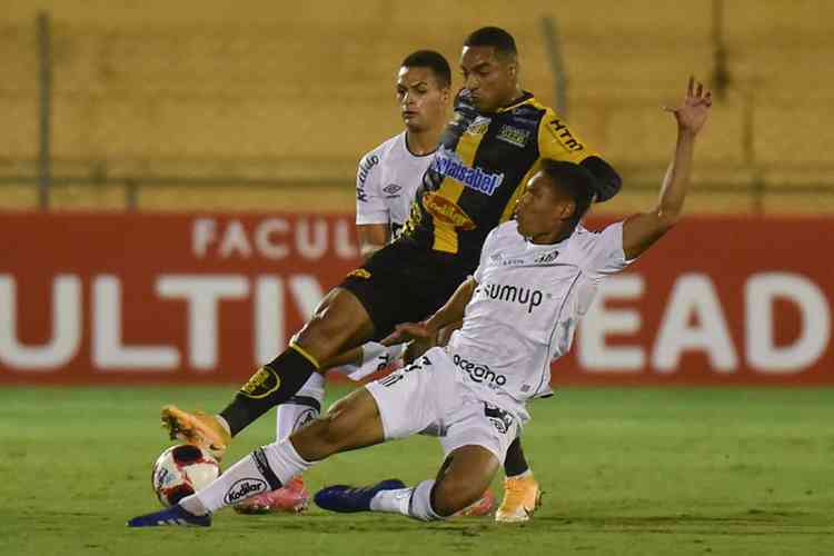 (Foto: Ivan Storti/Santos FC)