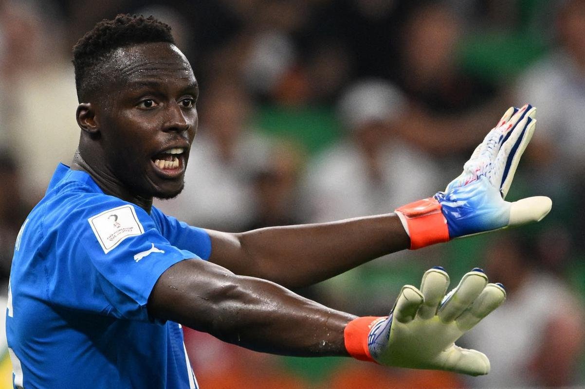 Fotos do jogo entre Senegal e Holanda no Estdio Al Thumama, pelo Grupo A da Copa do Mundo, no Catar