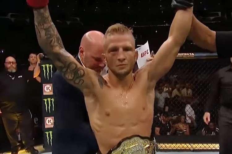 Reprodu��o/UFC/YouTube