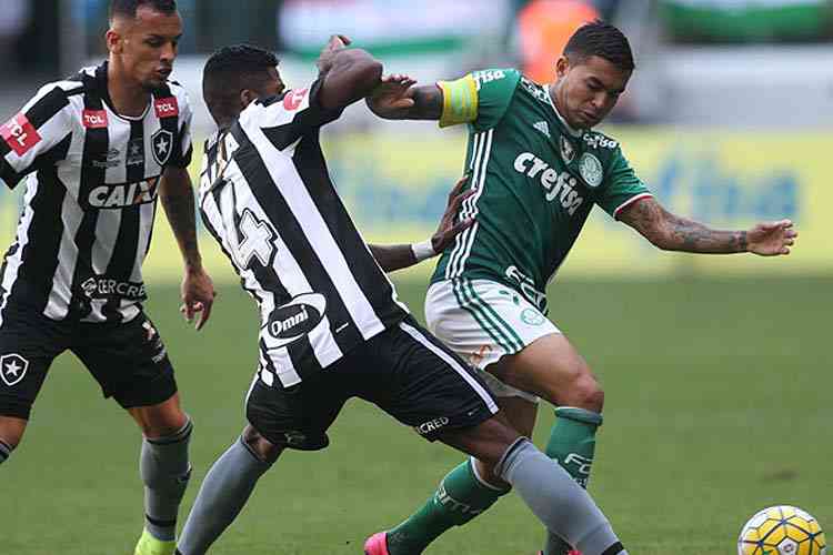 Divulgao/Palmeiras